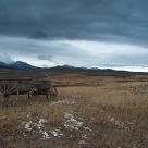 Abandoned
