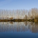 Reflection of silence