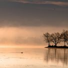 Mystical