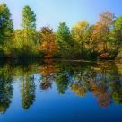 Fall Colors #4