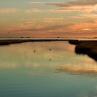 The Marsh #6