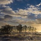 Heathland Sunrise