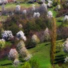 A Spring Day