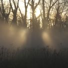 Sun and mist