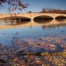 Fall
