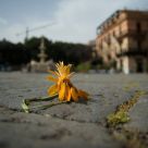 Fragile