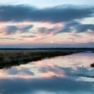 The Marsh #4