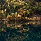 Symmetry Beautiful Scenery in Jiuzhaigou Valley