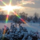 Winter rising