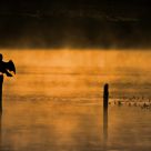 On Golden Pond