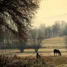 Alone and quiet