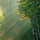 The Alure Of Autumn.
