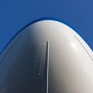 Nose