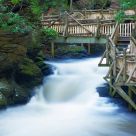 Stream over the trails