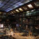 Grande galerie de l'Ã©volution