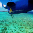 sea plane