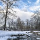 Winter Scene