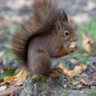 Nuts are so good