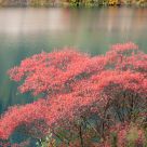The Autumn in Jiuzhaigou Valley