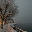 Snowfall in Vevey