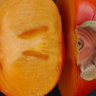 Fruit