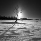 Miracle