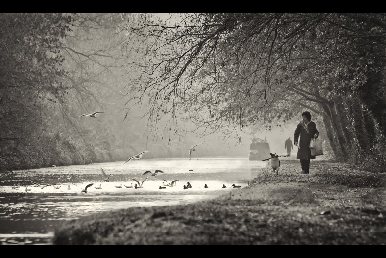 December morning