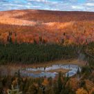 Peak Fall Colors