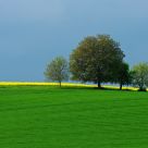 blue-yellow-green