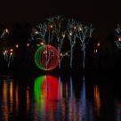 Christmas Lights At The Zoo