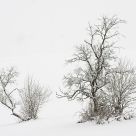 it`s wintertime