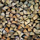 Wood pile