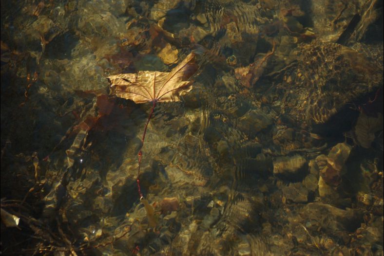 Adrift