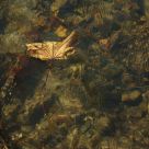 Adrift