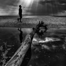 The man and the tree..