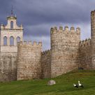 Two storks by the walls