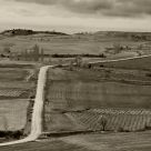 Countyside
