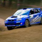 Subie Doo