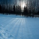 Shadow