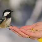 Uomo e Natura