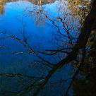 Blue Mirror
