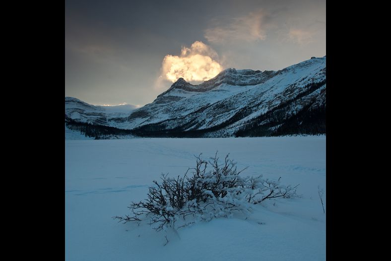 Golden Cloud