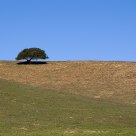 Morrison Canyon
