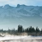 Frosty winter morning