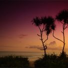 afternoon at canggu beach