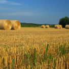 Hay Wheels