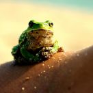 Meditation