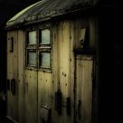 Shelter