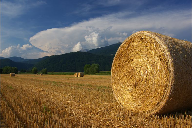 Hay Wheels