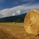 Hay Wheels